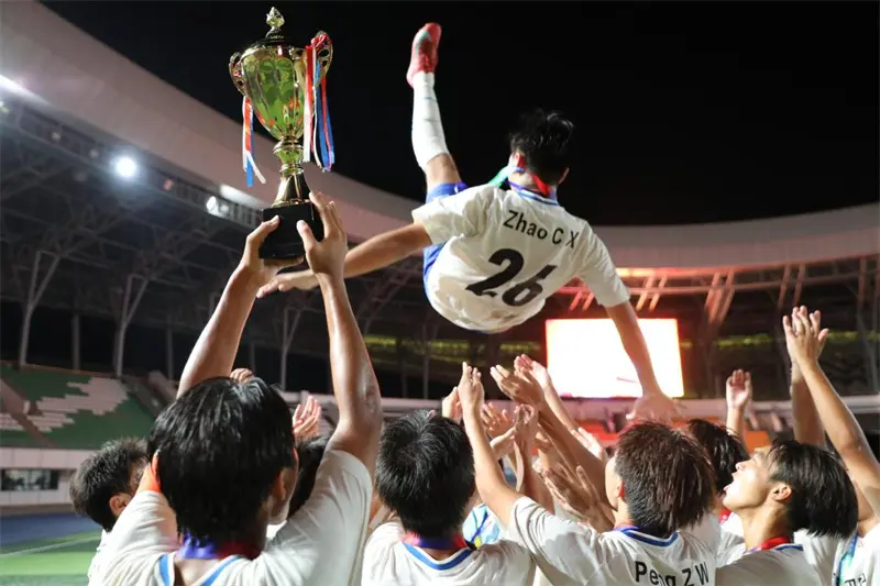 学校, 示自己的才, 政府承办