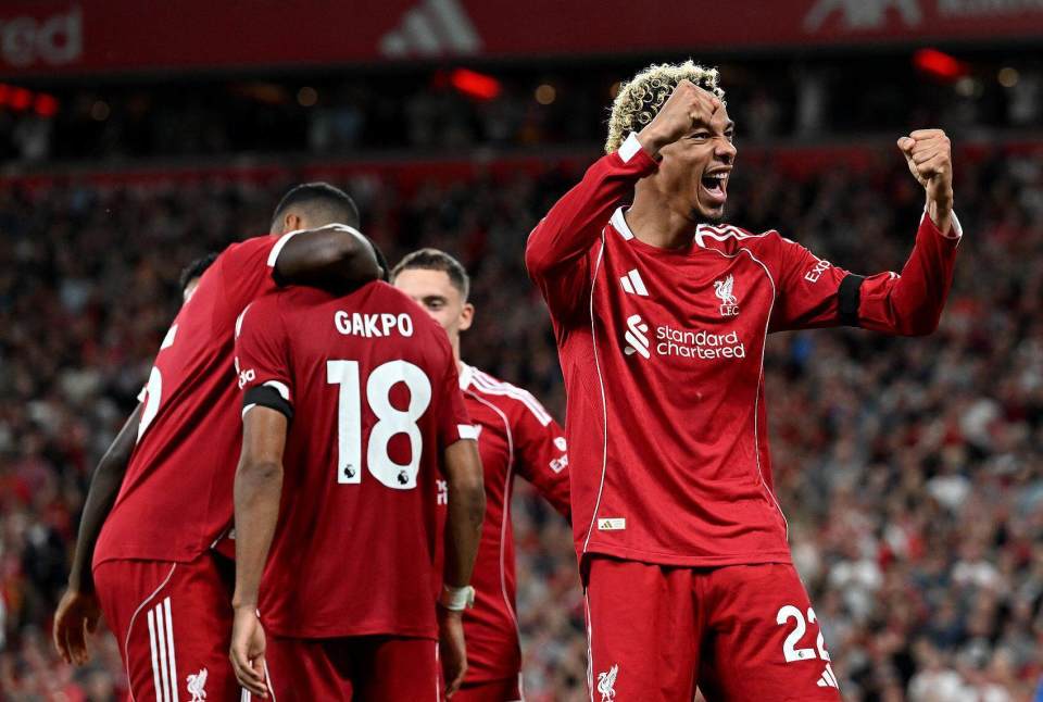 小基耶萨是, gQJBp