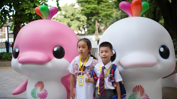 馆升级改造 馆升级改造