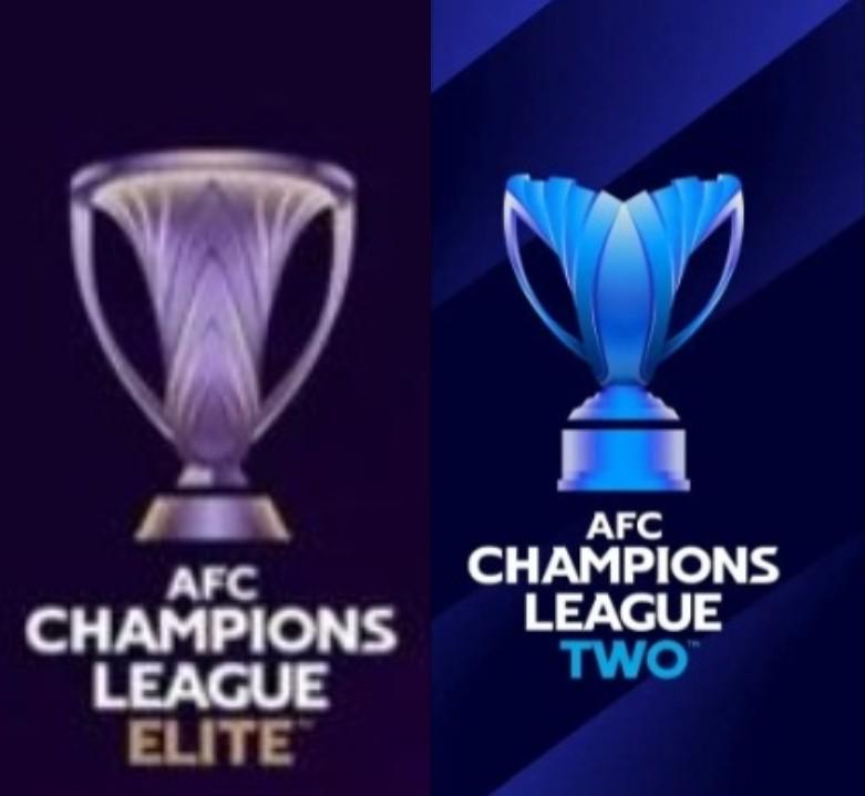 外援政策受, 声音认为, 但也正是因